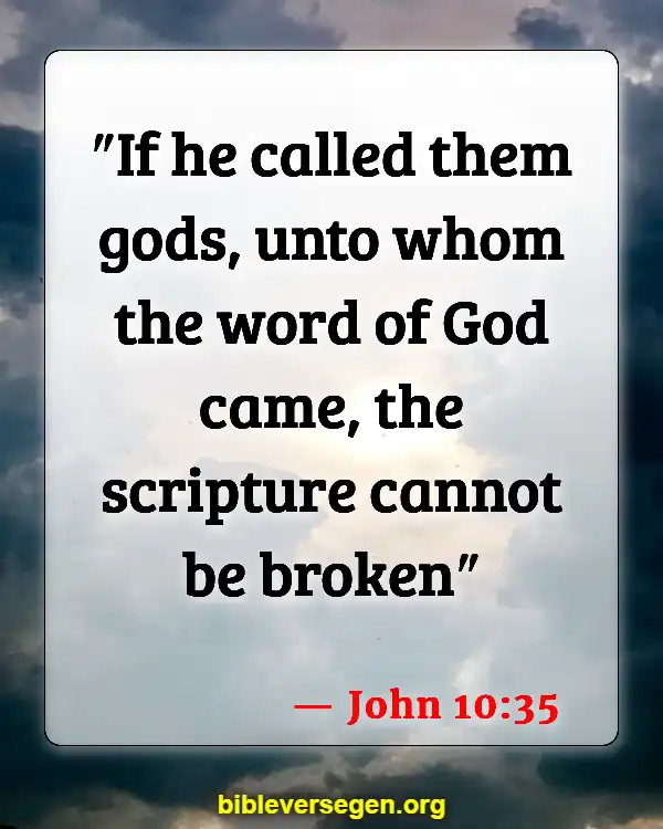 Bible Verses About Apology (John 10:35)