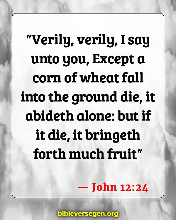 Bible Verses About Nutrition (John 12:24)