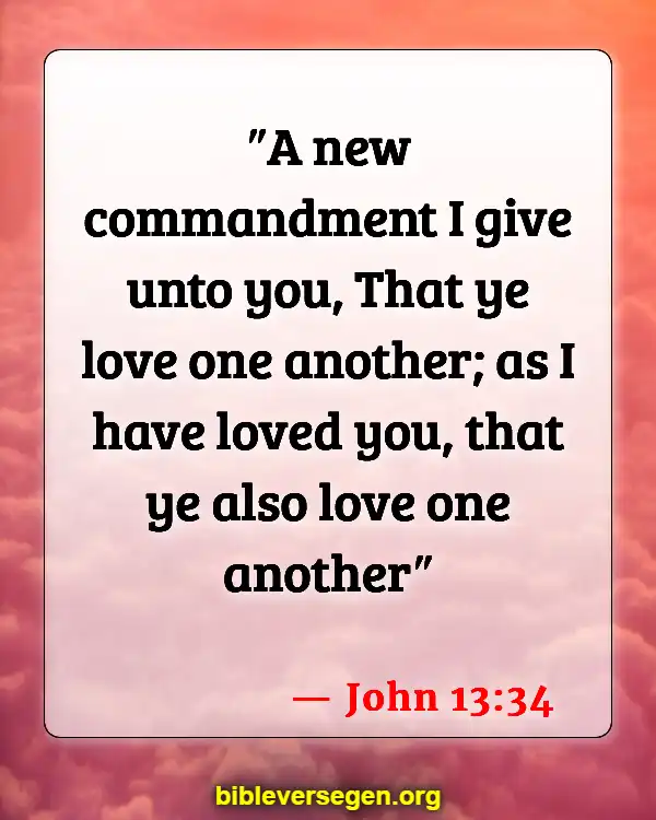 Bible Verses About Fraternities (John 13:34)