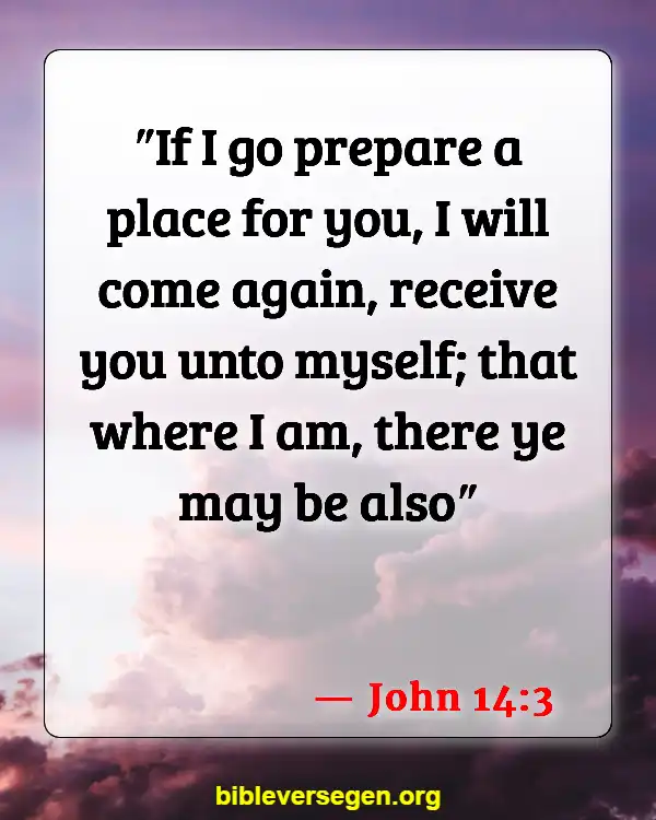 Bible Verses About Hindering (John 14:3)