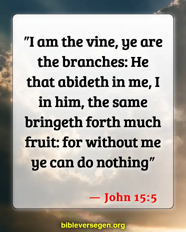 Bible Verses About John Being The Author Of The Gospel Of John (John 15:5)
