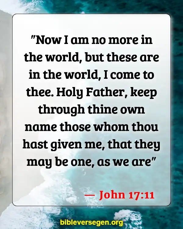 Bible Verses About Treasure (John 17:11)