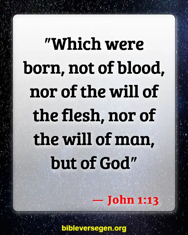 Bible Verses About Being Born Again (John 1:13)