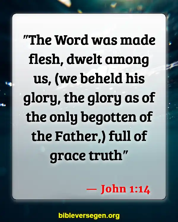Bible Verses About This (John 1:14)