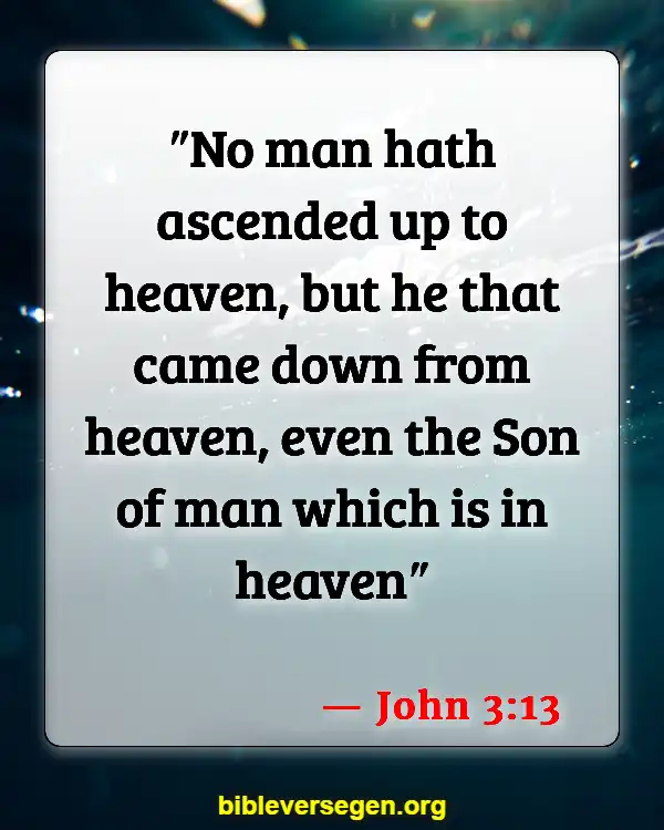 Bible Verses About Satan And A Third Of Angels Caste Out Of Heaven (John 3:13)