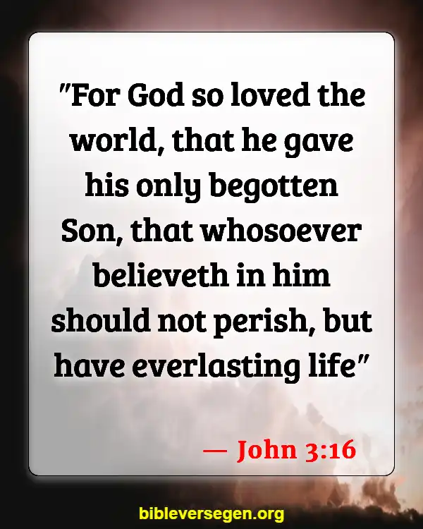 Bible Verses About Who Is Going To Heaven (John 3:16)