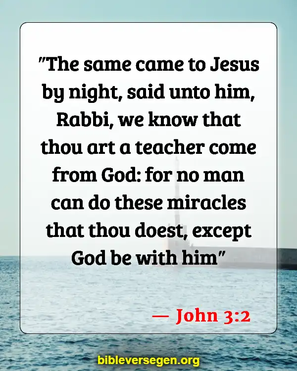 Bible Verses About Stone (John 3:2)
