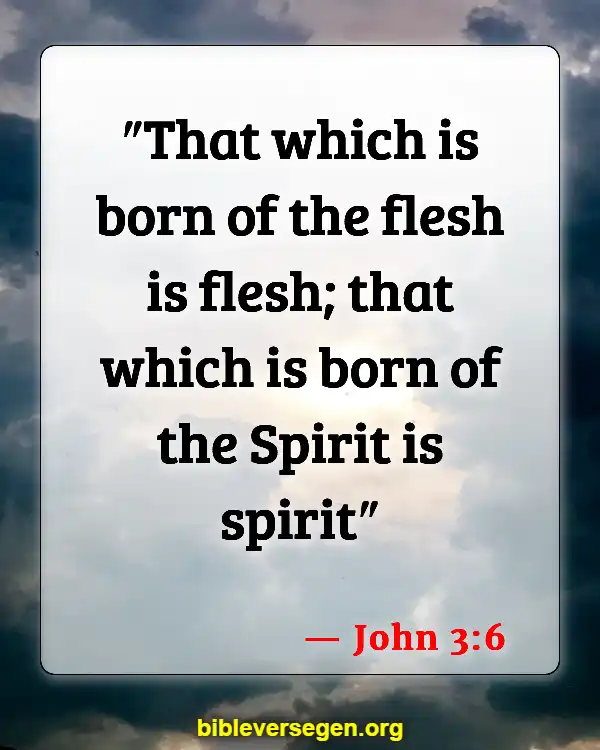 Bible Verses About Being Born Again (John 3:6)