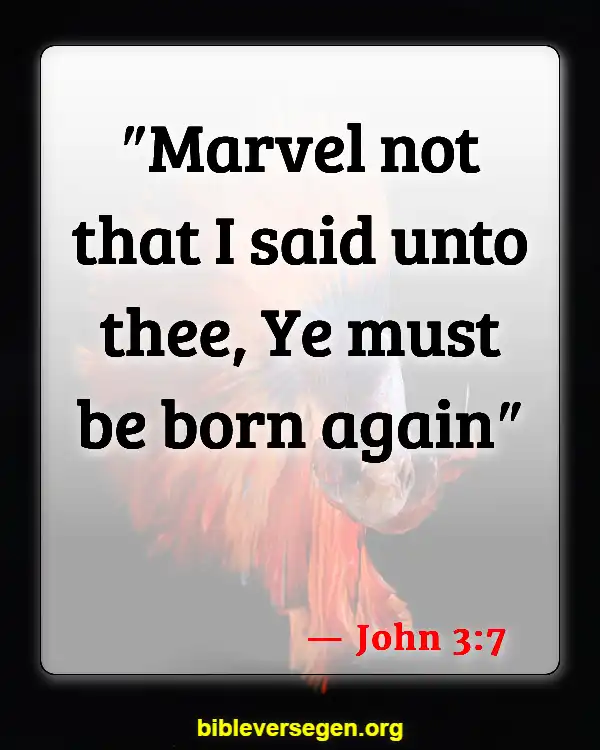 Bible Verses About Being Born Again (John 3:7)