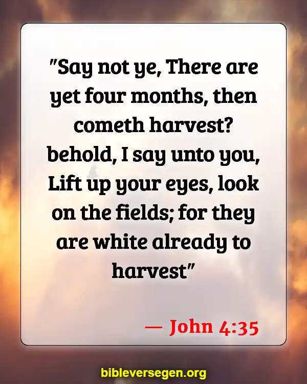 Bible Verses About Agriculture (John 4:35)