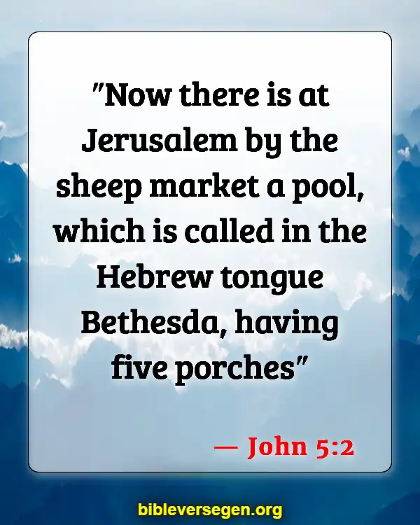 Bible Verses About Jesus Return (John 5:2)