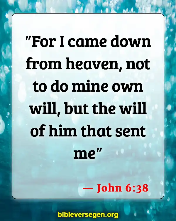 Bible Verses About Who Is Going To Heaven (John 6:38)