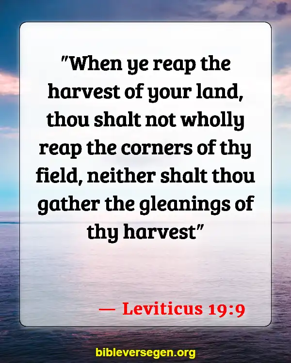 Bible Verses About Garden Of Eve (Leviticus 19:9)