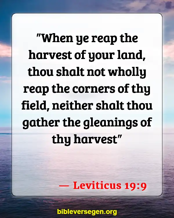 Bible Verses About Agriculture (Leviticus 19:9)