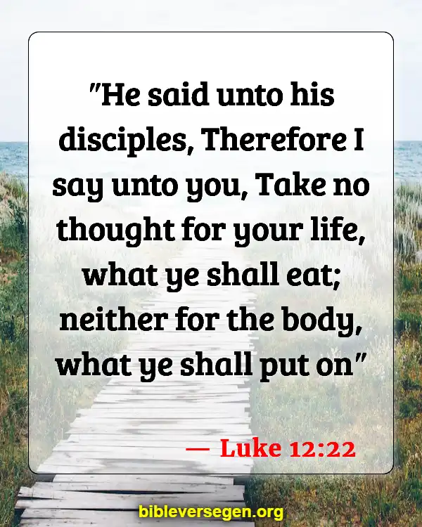 Bible Verses About Luke (Luke 12:22)