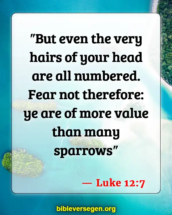 Bible Verses About Women Cutting Their Hair (Luke 12:7)
