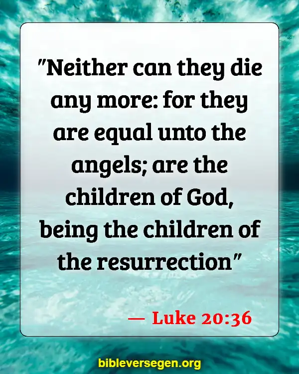 Bible Verses About Death Of Loved Ones (Luke 20:36)
