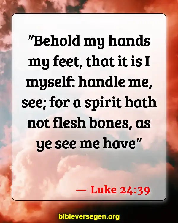 Bible Verses About Bones (Luke 24:39)