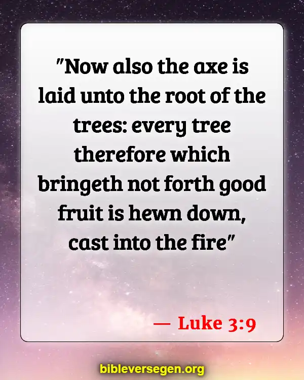 Bible Verses About Jews (Luke 3:9)