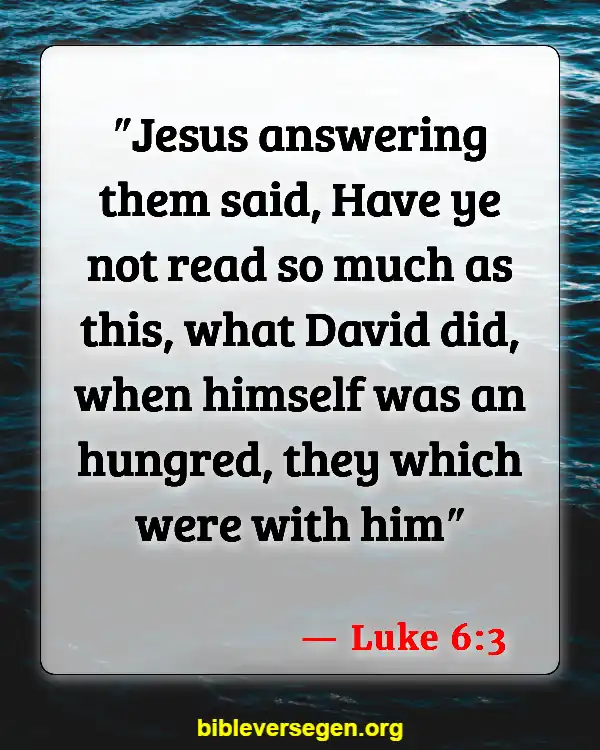 Bible Verses About Treasure (Luke 6:3)