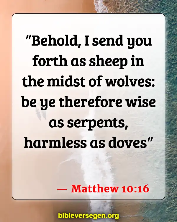 Bible Verses About Problem Solving (Matthew 10:16)