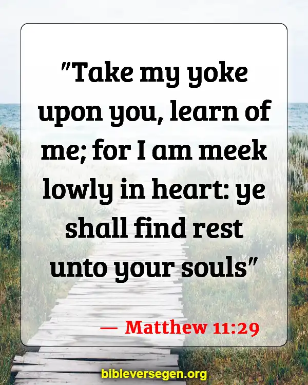 Bible Verses About Lessons (Matthew 11:29)
