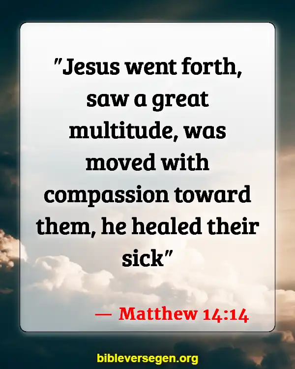 Bible Verses About Care For The Sick (Matthew 14:14)