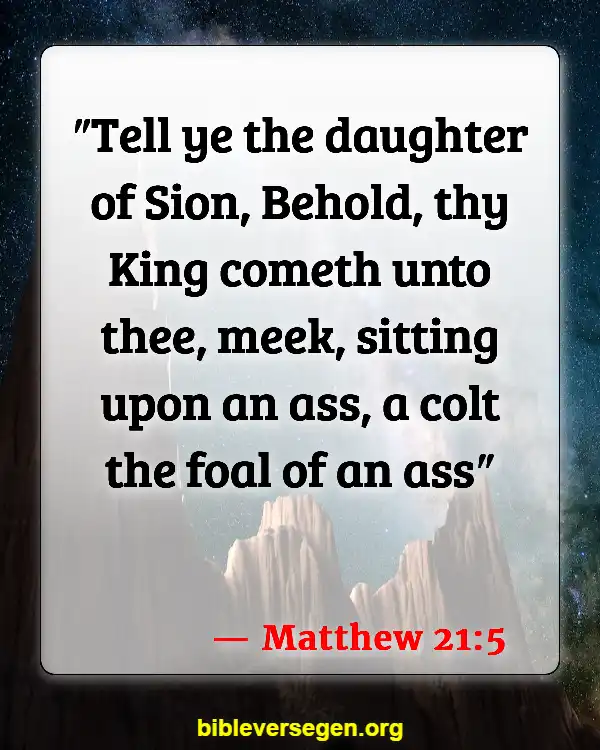 Bible Verses About Daughter Of Zion (Matthew 21:5)