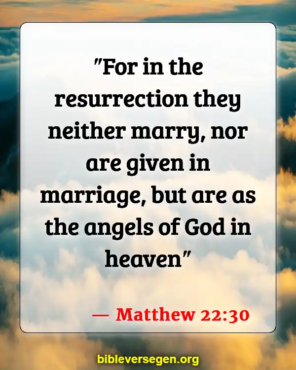 Bible Verses About Angels (Matthew 22:30)