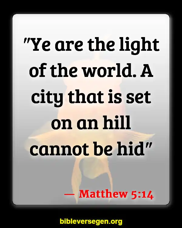 Bible Verses About Being A Light (Matthew 5:14)