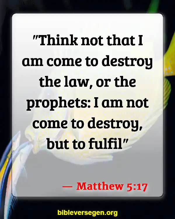 Bible Verses About Golden Rule (Matthew 5:17)