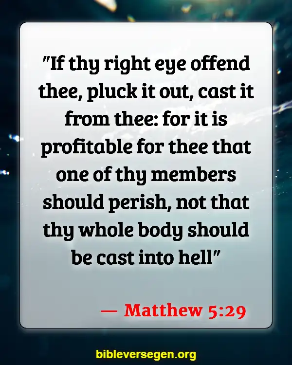 Bible Verses About Sin And The Bible (Matthew 5:29)