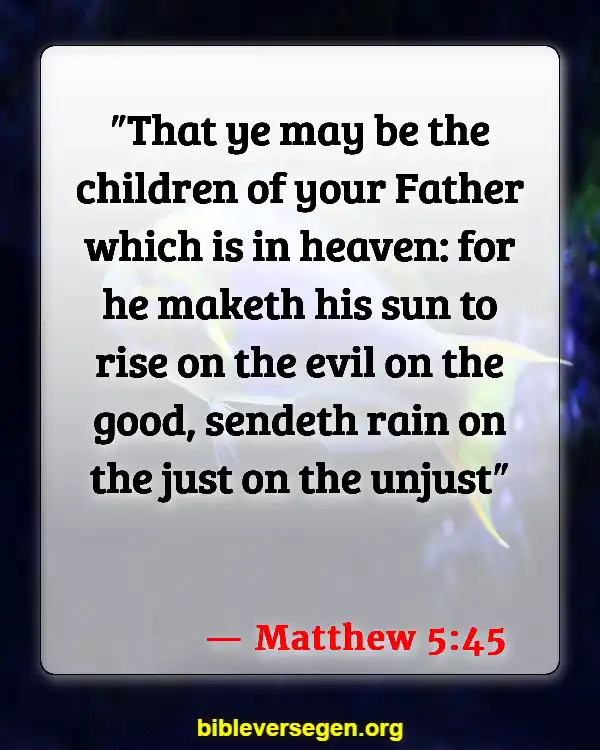 Bible Verses About Golden Rule (Matthew 5:45)