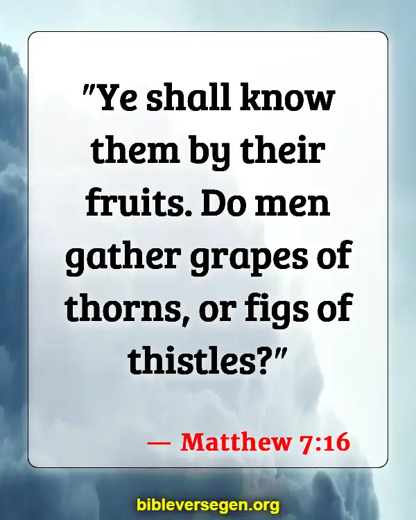 Bible Verses About Dishonest (Matthew 7:16)