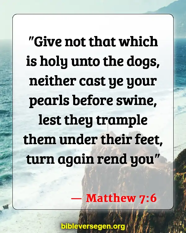 Bible Verses About Jewelry (Matthew 7:6)