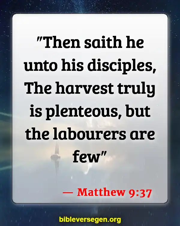 Bible Verses About Agriculture (Matthew 9:37)