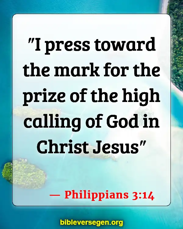 Bible Verses About Treasure (Philippians 3:14)