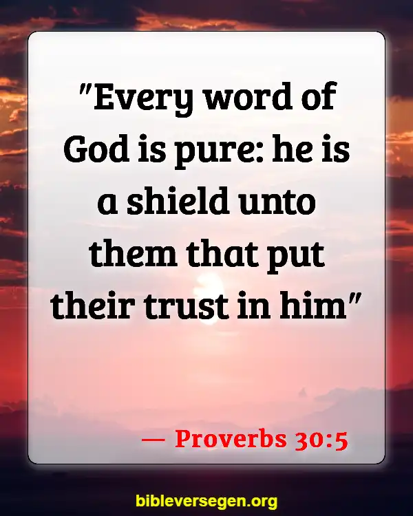 Bible Verses About Dealing With A Liar (Proverbs 30:5)