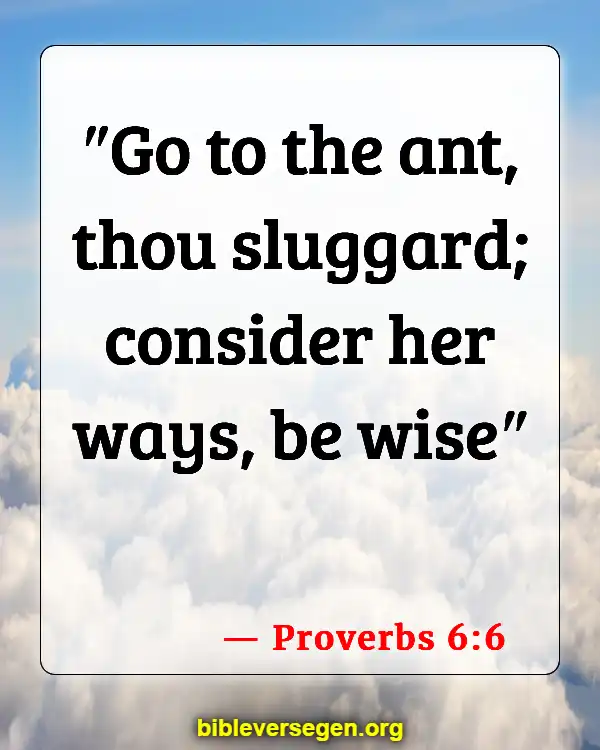 Bible Verses About Responsible (Proverbs 6:6)