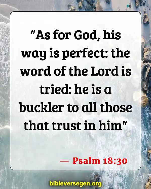 Bible Verses About Being A Perfect Christian (Psalm 18:30)