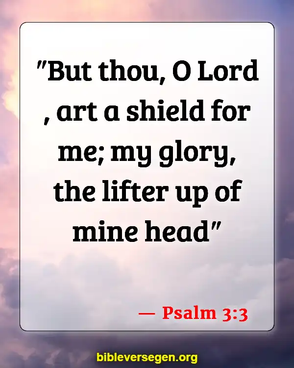 Bible Verses About Illness (Psalm 3:3)