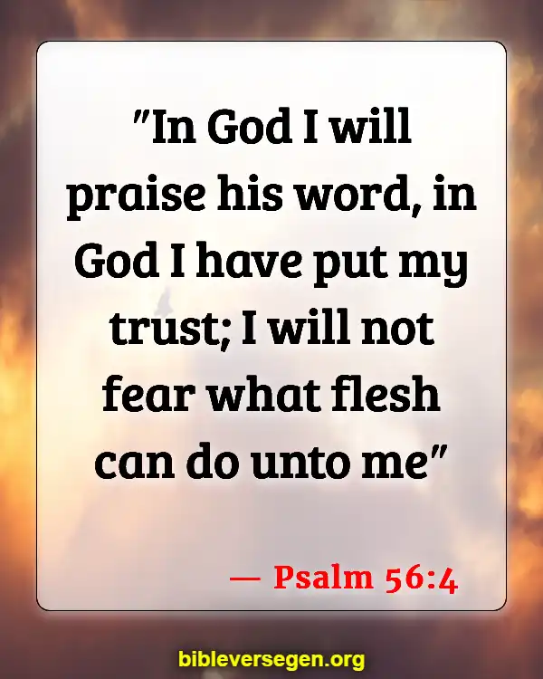 Bible Verses About This (Psalm 56:4)