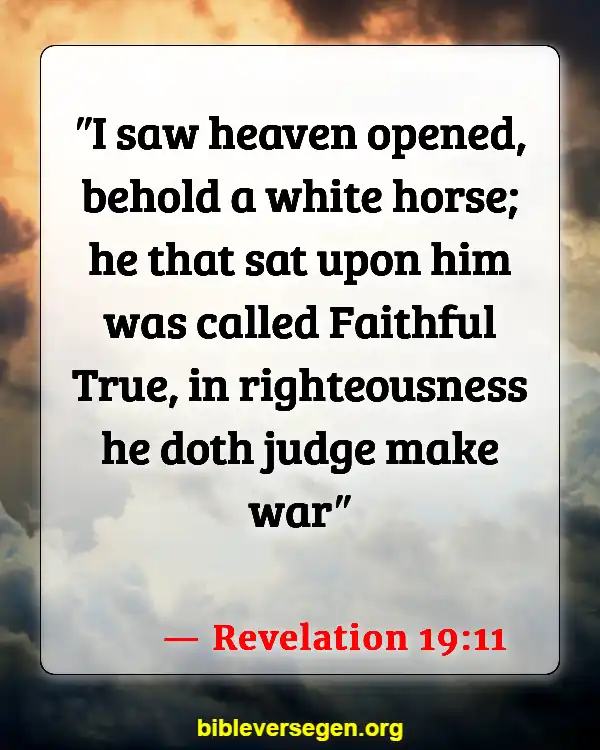Bible Verses About Animals In Heaven (Revelation 19:11)