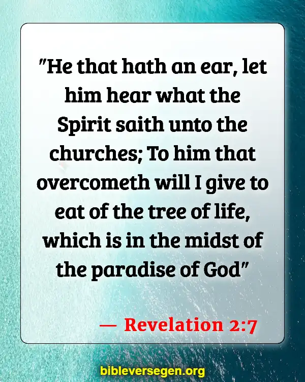Bible Verses About Who Is Going To Heaven (Revelation 2:7)