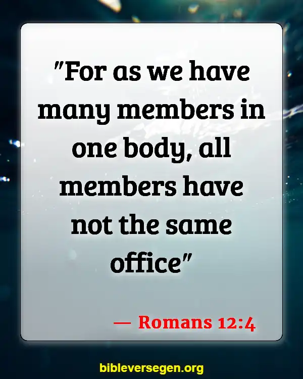Bible Verses About Keeping Healthy (Romans 12:4)