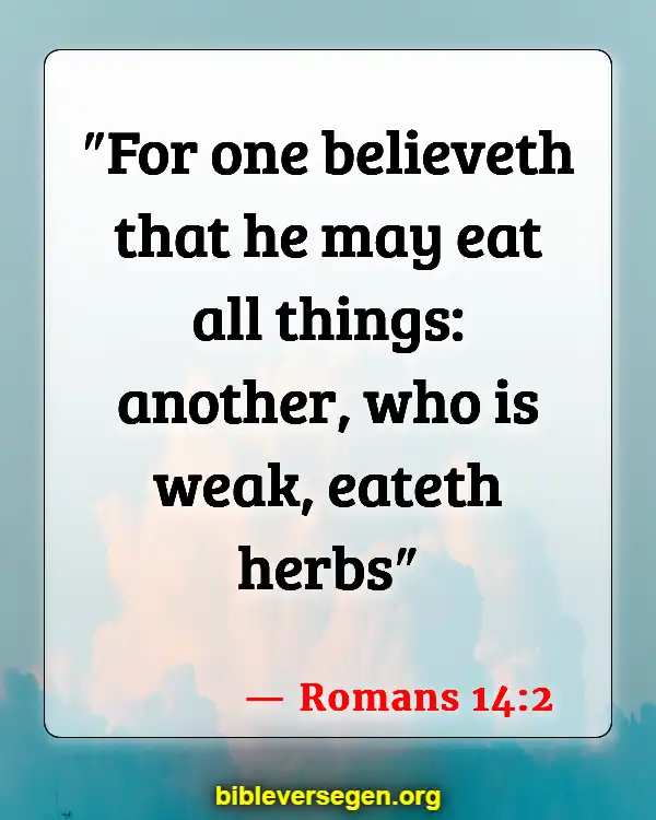 Bible Verses About What We Should Eat (Romans 14:2)