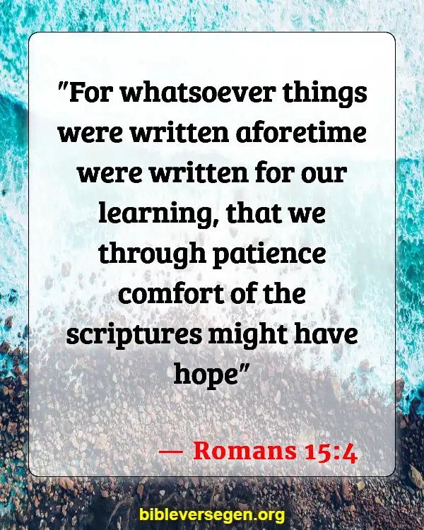 Bible Verses About Lessons (Romans 15:4)