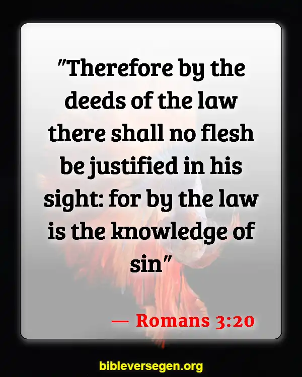Bible Verses About Sin And The Bible (Romans 3:20)