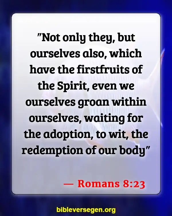 Bible Verses About Creation Groans (Romans 8:23)