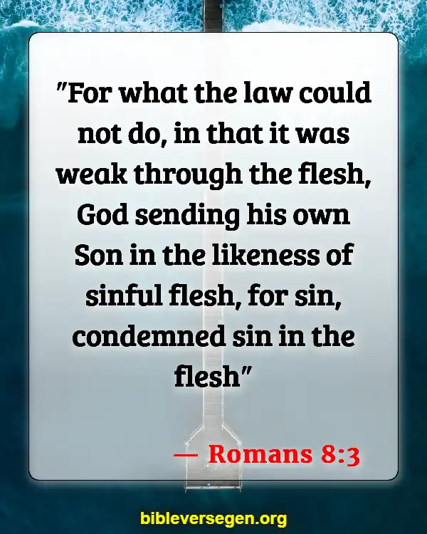 Bible Verses About Falling (Romans 8:3)